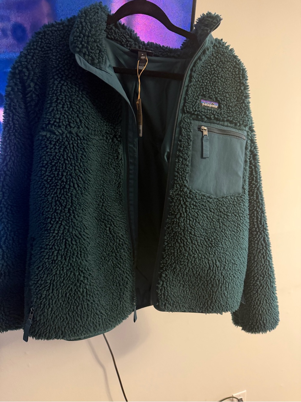 Patagonia Retro-X Cascade Green Jacket